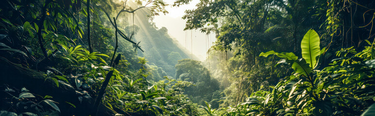 Wall Mural - jungle landscape in warm sunlight