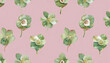 Cute hellebore pattern on pink background, watercolor illustrator, hand painted