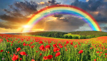 HDR Landscape With Red Poppies Flowers And Rainbow At Sunset
