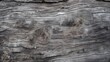Old tree bark texture background. Gray and brown wood skin abstract background. Pattern of natural tree bark texture. Rough surface of trunk. Corrosion tree bark. Nature background. Carbon neutral. 