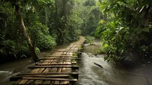 A Wooden Bridge That Passes Through The Wilderness On The Edge Of The River. Seamless Looping Time-lapse Virtual Video Animation Background.