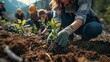 Leinwandbild Motiv Volunteers plant trees together in a nature campaign