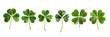 Set collection of lucky clover and shamrock isolated on transparent background, Saint Patrick day celebration symbol, png file