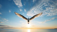 A Sharp And Clear Photograph Of A Bird Gracefully Soaring Across The Wide, Open Sky.