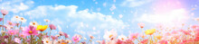 The Colorful Flowers And Sky Together With Sunlight, In The Style Of Digital Airbrushing, Bokeh Panorama, Realistic Blue Skies, Soft-edged, Small Brushstrokes, Tilt Shift, Organic And Flowing Forms

