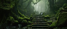 Navigate Through A Mystical Forest On An Ancient Stone Pathway Adorned With Moss, Enveloped In An Enchanting Atmosphere.