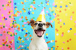Happy smiling dog with a birthday hut for a birthday invitation. Funny, colorful and festive birthday postcard with confetti.