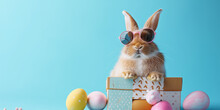 Easter Bunny With Easter Eggs And Gift Box 