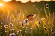 Summer Wild flowers and Fly Butterfly in a meadow at sunset. Macro image, shallow depth of field. Abstract summer nature background   