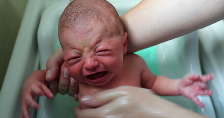 Wall Mural - Bathing newborn baby body in warm water crying