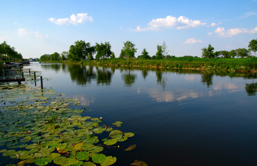 Canvas Print - Landscape of a lake and blue sky reflected.