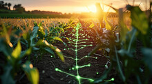 Corn Field With Holographic Data And Technology, Agricultural Technologies On The Farm. Generative AI.