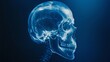 Blue-lit Human Skull, An Eerie Illumination of the Bony Structure