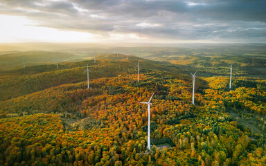 Wall Mural - Birds Eye view of wind turbines between the colorful autumn trees at sunset 