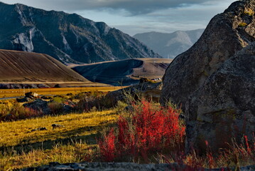 Wall Mural - Russia. South Of Western Siberia. Mountain Altai. Amazing stone placers in the Katun river valley along the Chui tract.