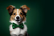 Beautiful dog with a bow tie. Animal portrait. dog in stylish clothes. green background