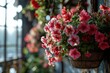 hanging baskets of pink red blooming spring flowers, summer home decor