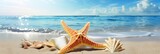Fototapeta Morze - Seashells on the sand on the background of the sea