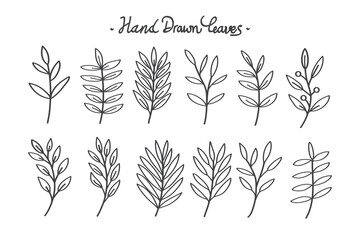 Hand-drawn botanical leaves line collection. Vector illustration.