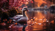 Mallard duck quacking in pond at sunset generated by AI