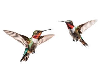 a couple of hummingbirds flying