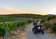Row of buggy vehicles on road during a tour through the vineyards of Korcula Island in Croatia