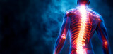 Fototapeta  - 3d Rendered illustration of a painful back.  Medical Back Pain Unveiled: X-Ray Imaging Reveals Spinal Cord Issues and Injury for Precise Diagnosis and Treatment.