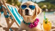 dog on the beach A golden retriever puppy with a comical expression, wearing oversized sunglasses  