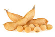 Soybean pods and beans isolated on a white background. Dried soya beans, protein plant for health food.