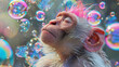 A peaceful monkey chimpanzee baboon with eyes closed surrounded by a multitude of iridescent soap bubbles relaxed resting enjoying at summer sunny day. Cute animals concept