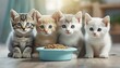 Quartet of Kittens Around a Food Bowl. Four adorable felines gaze curiously, their eyes reflecting innocence beside a shared meal.