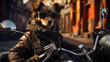 dog on a motorcycle in the city
