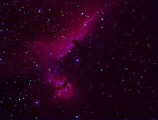 Wall Mural - the colorful horsehead nebula in deep space