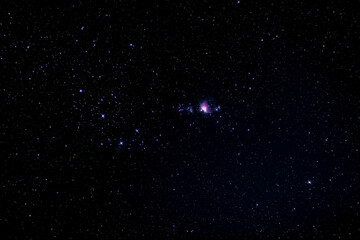 Wall Mural - orion's belt and the great nebula in the constellation of orion