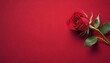Single red rose on warm velvet background, shadowed on the corners, for valentine's day or weddings 