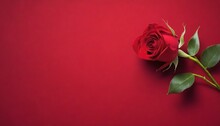 Single Red Rose On Warm Velvet Background, Shadowed On The Corners, For Valentine's Day Or Weddings 