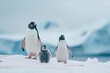 family of penguins waddling across a snowy landscape in Antarctica