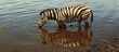 Oil creates zebra stripes from the Mexican Gulf.