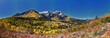 Timpanogos Mountain Peak from Willow Pine Hollow Ridge Trail hiking view Wasatch Rocky Mountains, Utah. United States.