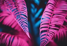 Tropical Leaves In Bright Creative Pink And Blue Colors Minimalistic Background Concept Art