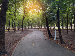 Sticker - beautiful landscape in the park