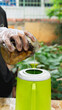 The gardener pours banana peel fertilizer to be diluted with water