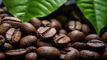 Wall Mural - Closeup, Coffee beans on green leaf with copy space