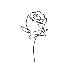 Wall Mural - Rose flower in continuous one line art drawing. Vector illustration isolated. Minimalist design handdrawn.