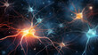 Neuronal Network A vast network of neurons displayed ethereal