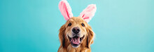 Banner With Dog Dressed In Pink Easter Bunny Ears