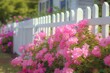 white picket pink flowers growing transparent fence good housekeeping subtle color variations nosey neighbors flowering vines shutters barriers shadows yard young header noon