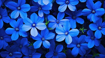 vibrant blue flower background illustration beautiful spring, garden petal, blossom sky vibrant blue