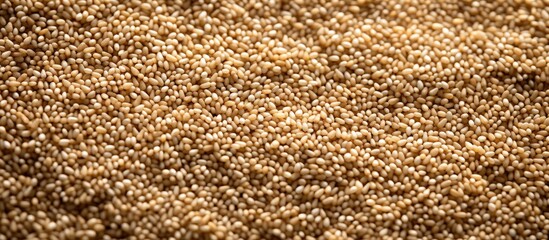 Wall Mural - Close-up picture of organic sesame seeds, uncooked plant-based meal.