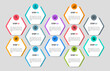 Modern business infographic template, hexagon shape with 12 options or steps icons.